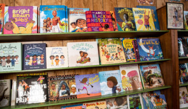 Everything you need to know