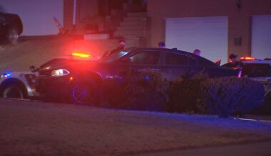 Woman accused of ramming police vehicle in McKees Rocks, crashing in Pittsburgh before arrest