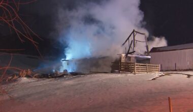 Animals killed in barn fire at historic Washington County farm – WPXI