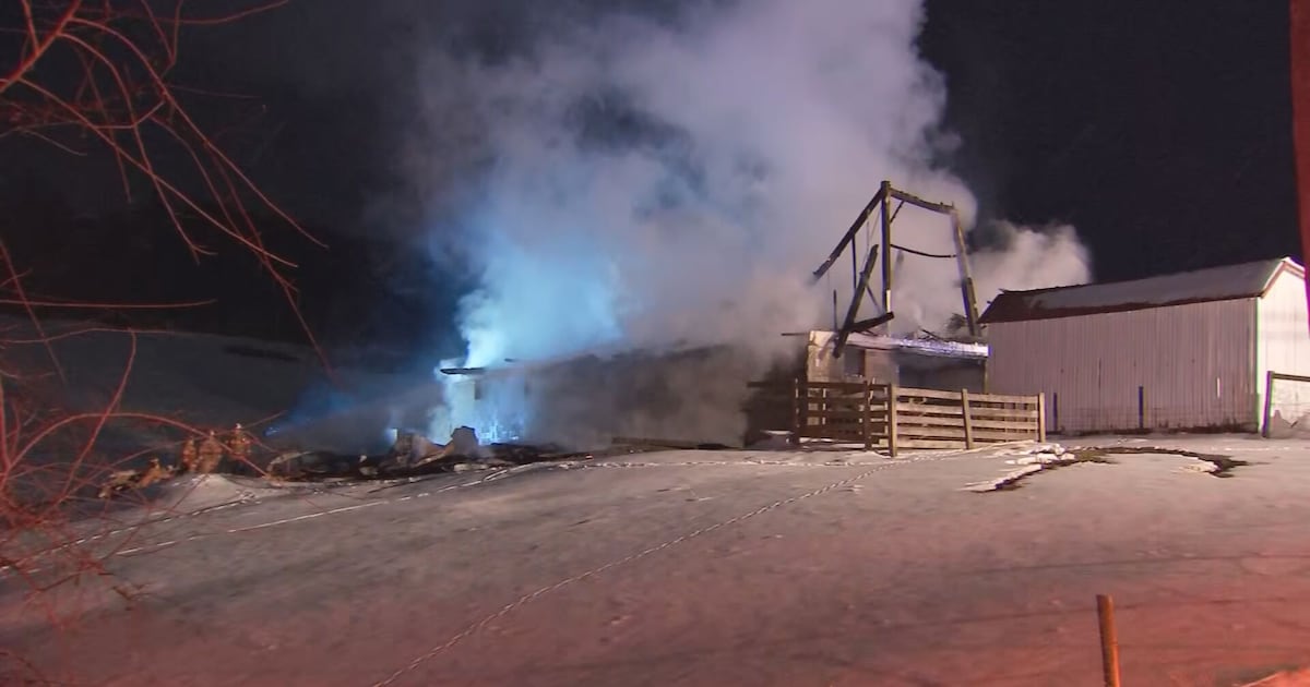 Animals killed in barn fire at historic Washington County farm – WPXI