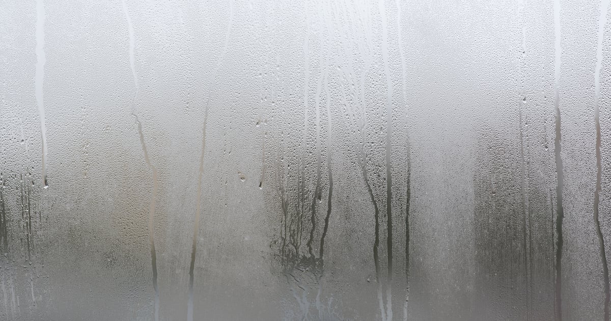 Damp conditions linger, fog develops as showers end early – WPXI