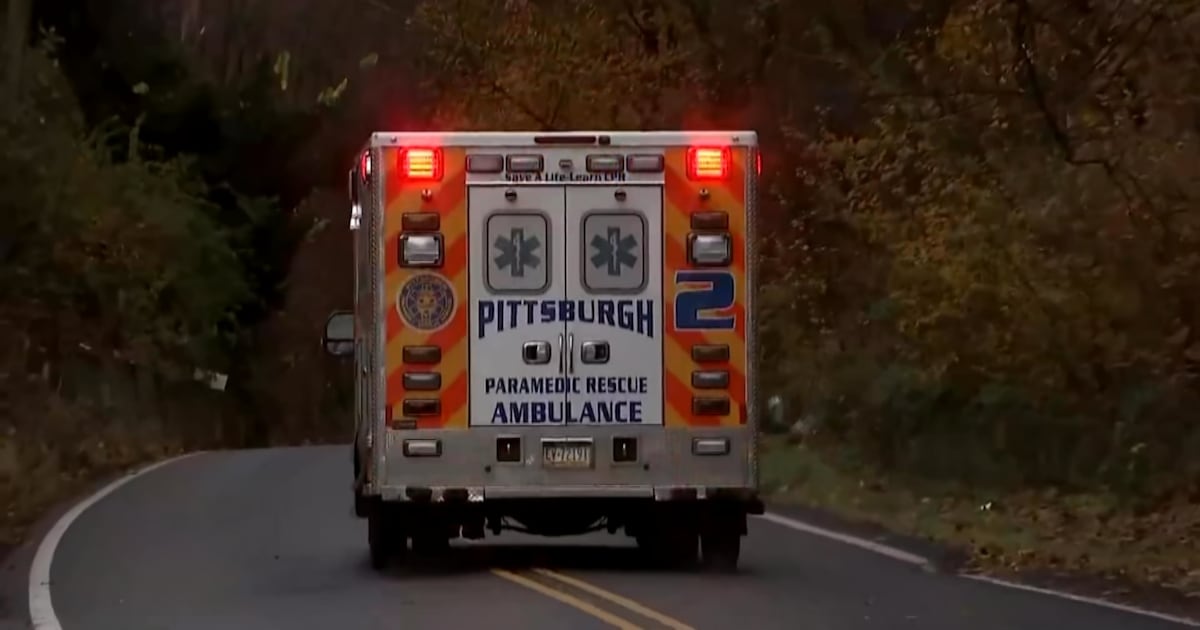 Medic accused of trading gloves for pizza retires after internal investigation – WPXI