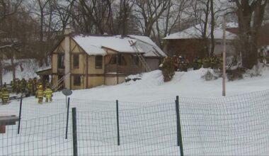 2 dogs rescued from Shaler house fire