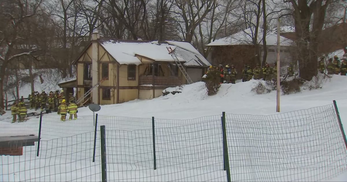 2 dogs rescued from Shaler house fire