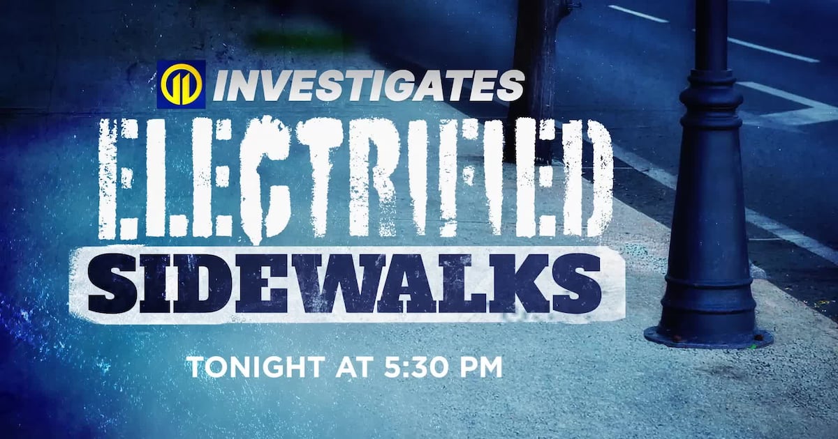 11 Investigates electrified sidewalks after multiple dogs shocked, electrocuted in Pittsburgh – WPXI
