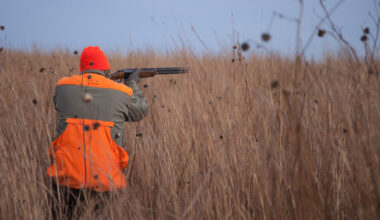 Pa. Senate proposal would push firearms deer season start date back to the Monday after Thanksgiving | News, Sports, Jobs