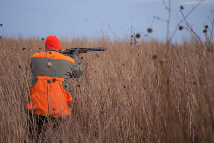 Pa. Senate proposal would push firearms deer season start date back to the Monday after Thanksgiving | News, Sports, Jobs