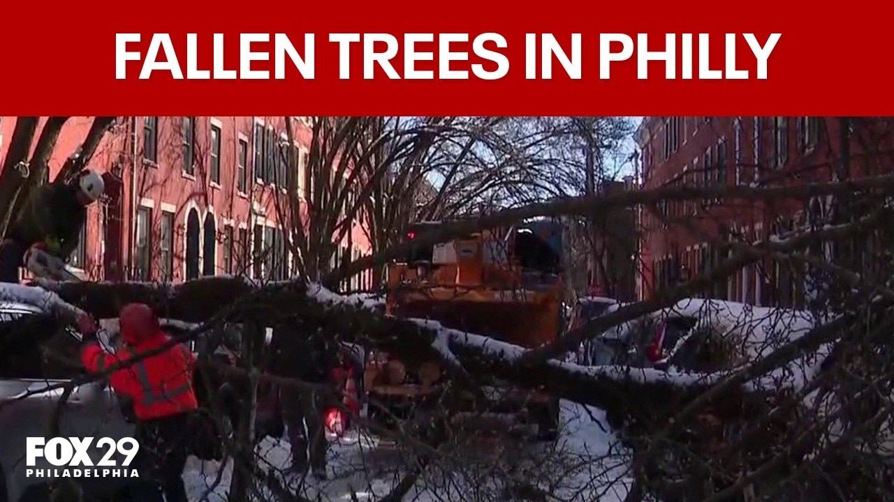  Crews work to clear fallen trees, debris in Philly
