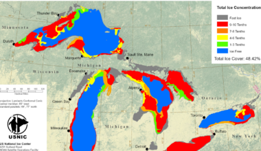 Ice coverage surges across Great Lakes; Lake Erie over 95% covered in ice