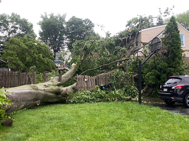 A different look at the house on Bond Avenue in Upper Darby in which a woman was trapped until crews could cut through the limbs. (PETE BANNAN -DAILY TIMES)