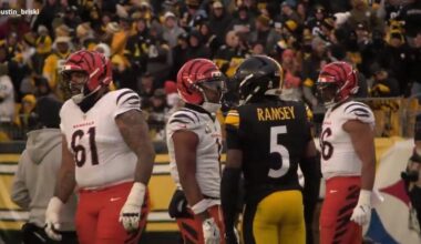 Analyst: Steelers Will 'Take A Step Back', Bengals Could Jump Pittsburgh In AFC North