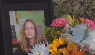 Drunk driver sentenced to 3-6 months in jail for crash that killed Harrison Township girl