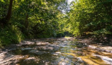 Nestled Just Outside Erie Is Pennsylvania's Charming Lakeside Suburb With Breezy Bluffs And Vineyard Views