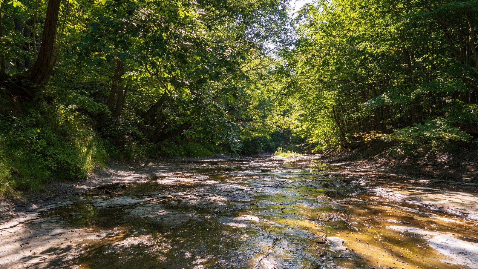 Nestled Just Outside Erie Is Pennsylvania's Charming Lakeside Suburb With Breezy Bluffs And Vineyard Views