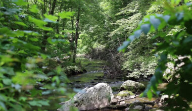 Pennsylvania's Charming State Park Near Philadelphia Is A Gem For Trails And Fishing