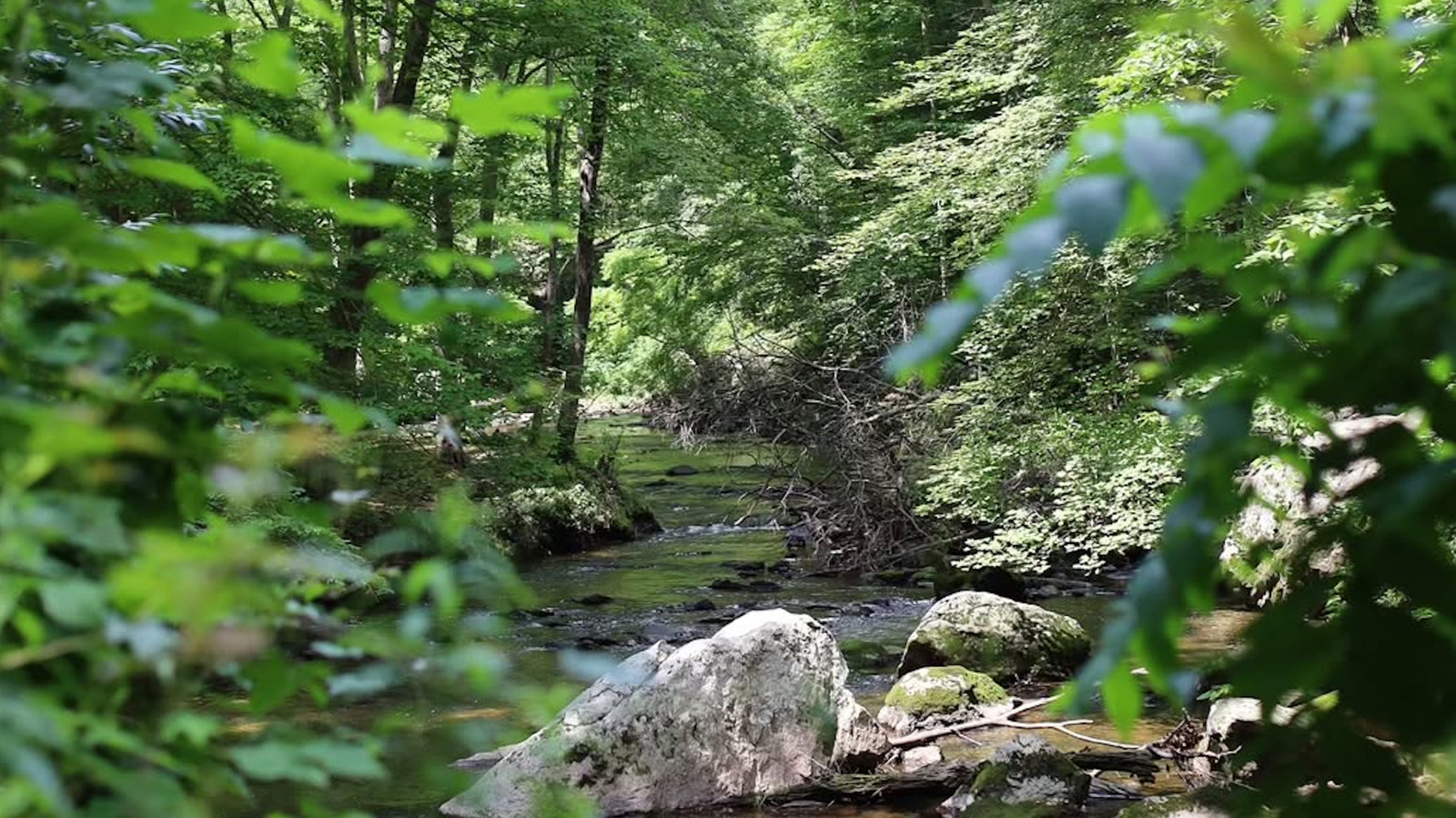 Pennsylvania's Charming State Park Near Philadelphia Is A Gem For Trails And Fishing