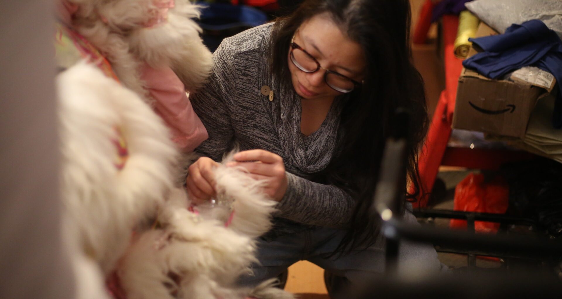 Philadelphia Suns make final preparations for Lunar New Year