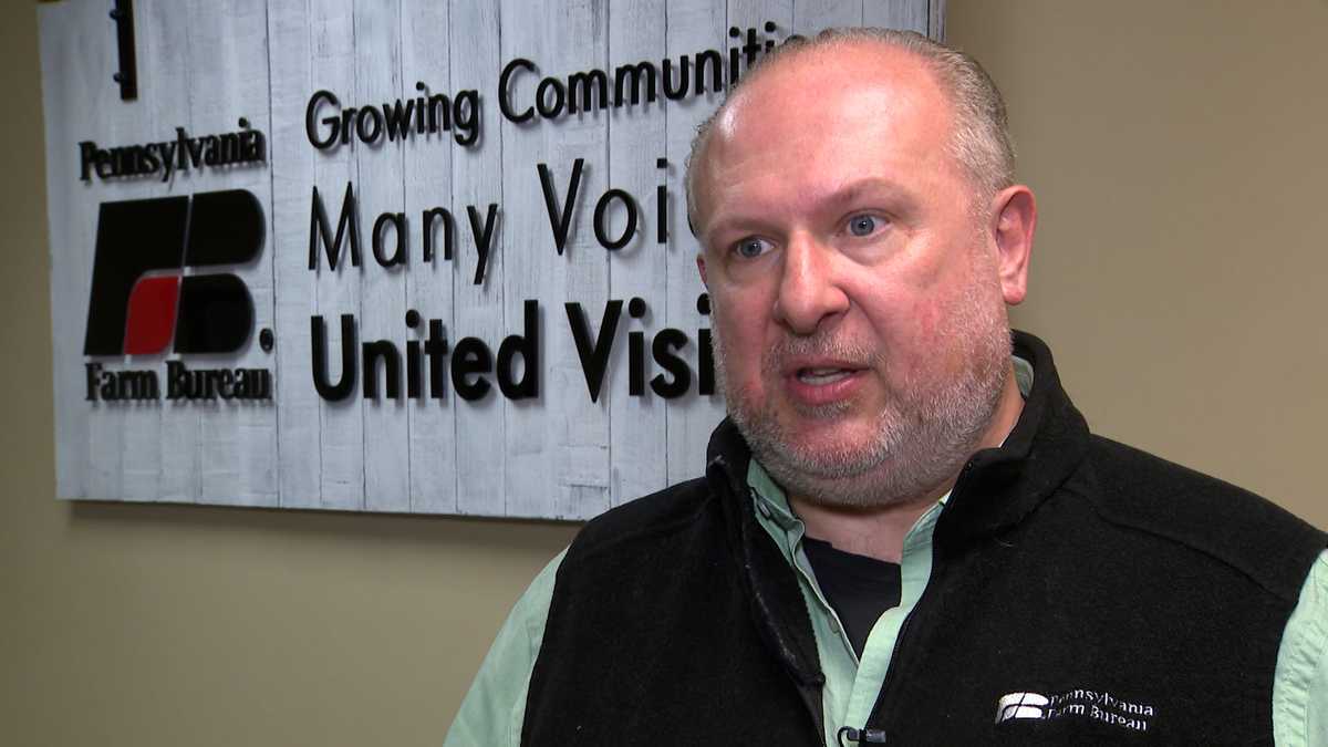 PA Faces Worst Avian Flu Since the 80s as Shapiro Deploys Resources