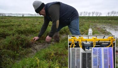 Pennsylvania farmer refused a $15 million offer from big tech developers for his property