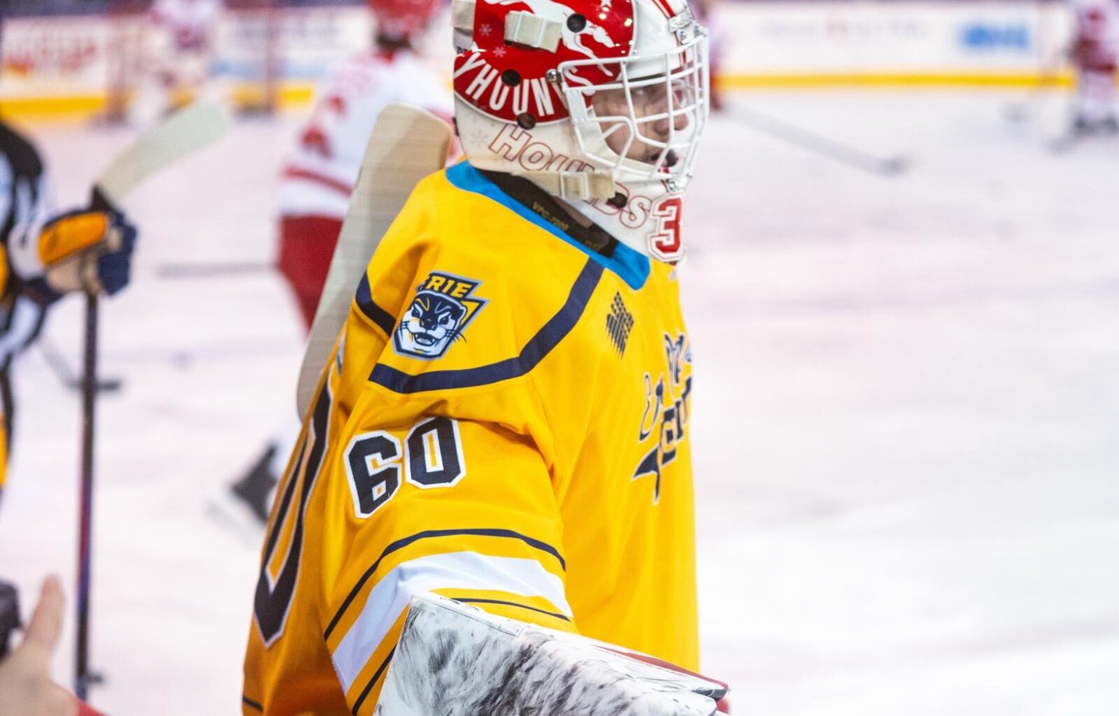 Erie Otters end nine-game losing streak in nail-biter shootout – THE GANNON KNIGHT