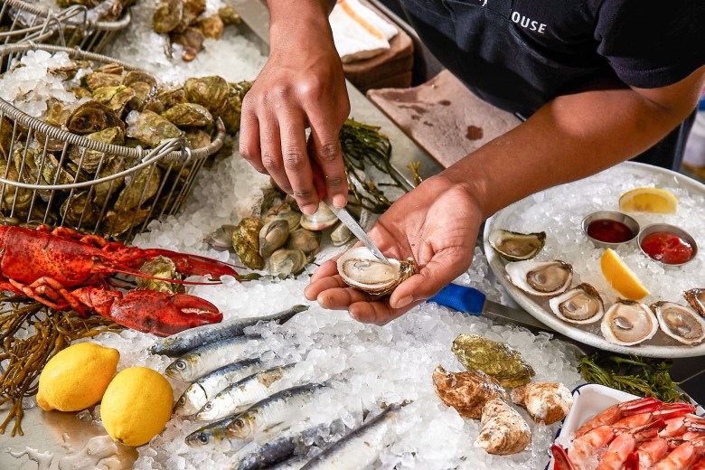 A person's hands holding a freshly shucked oyster on a bed of ice.