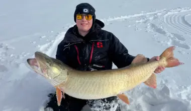 Brett Baldwin estimates that the 52-Inch muskie weighs between 45 and 50 pounds.