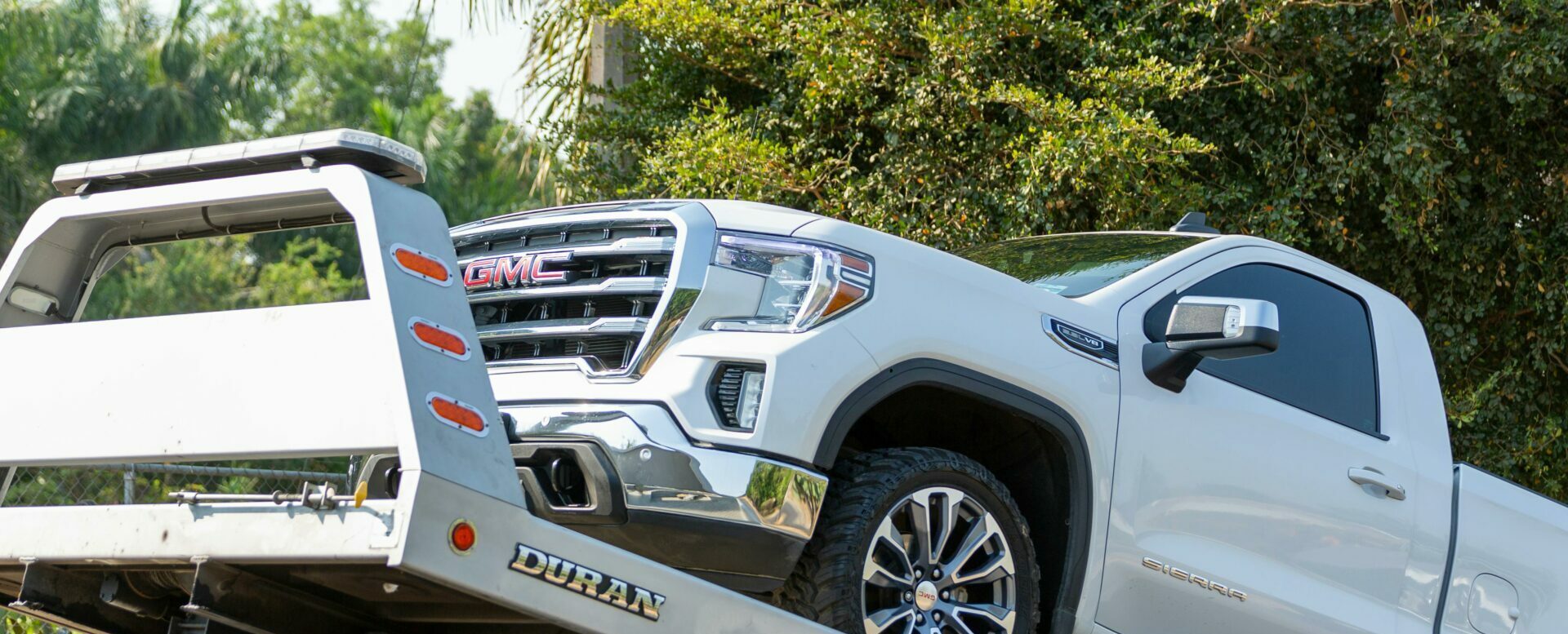 pexels-jonathan-reynaga-861774-17429097