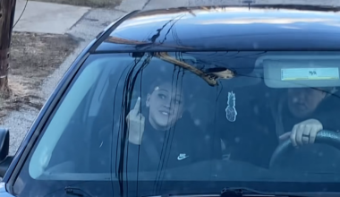 Pittsburgh couple blocks school bus