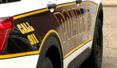 Woman allegedly knocked on Pittsburgh door then stabbed man