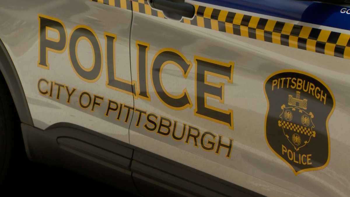 Pittsburgh woman and daughter stabbed in Fineview