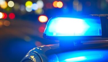 Crooks Target Vehicles Across Lower Merion: Crime Blotter