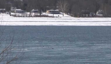 More than a third of Pennsylvania's streams are impaired, report says