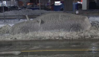 Have You Seen This? Philadelphia woman's car completely encased in ice