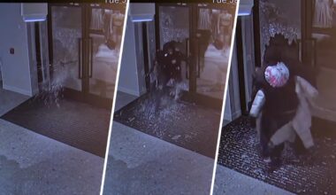 2 men charged after robbing Lululemon in Suburban Square – NBC10 Philadelphia