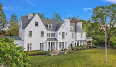 Shadowsremoved Moregreen 1