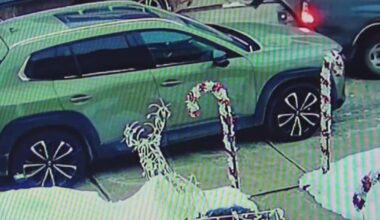 Beechview residents call for change after string of parked vehicles hit