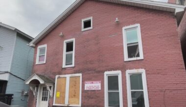 Cat ignites stove and sparks apartment fire in Westmoreland County, officials say