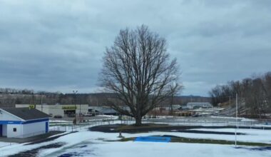 90-year-old oak tree in Fayette County keeps Olympian John Woodruff's legacy alive