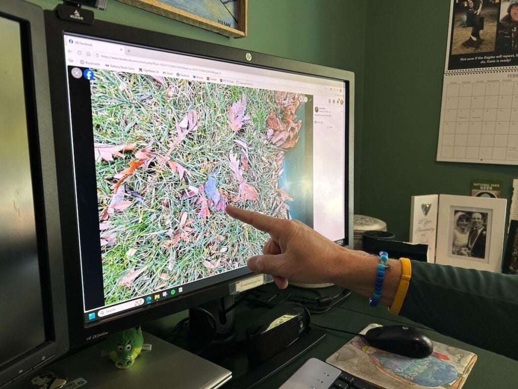 Bob Mina pointing at results of the previous game