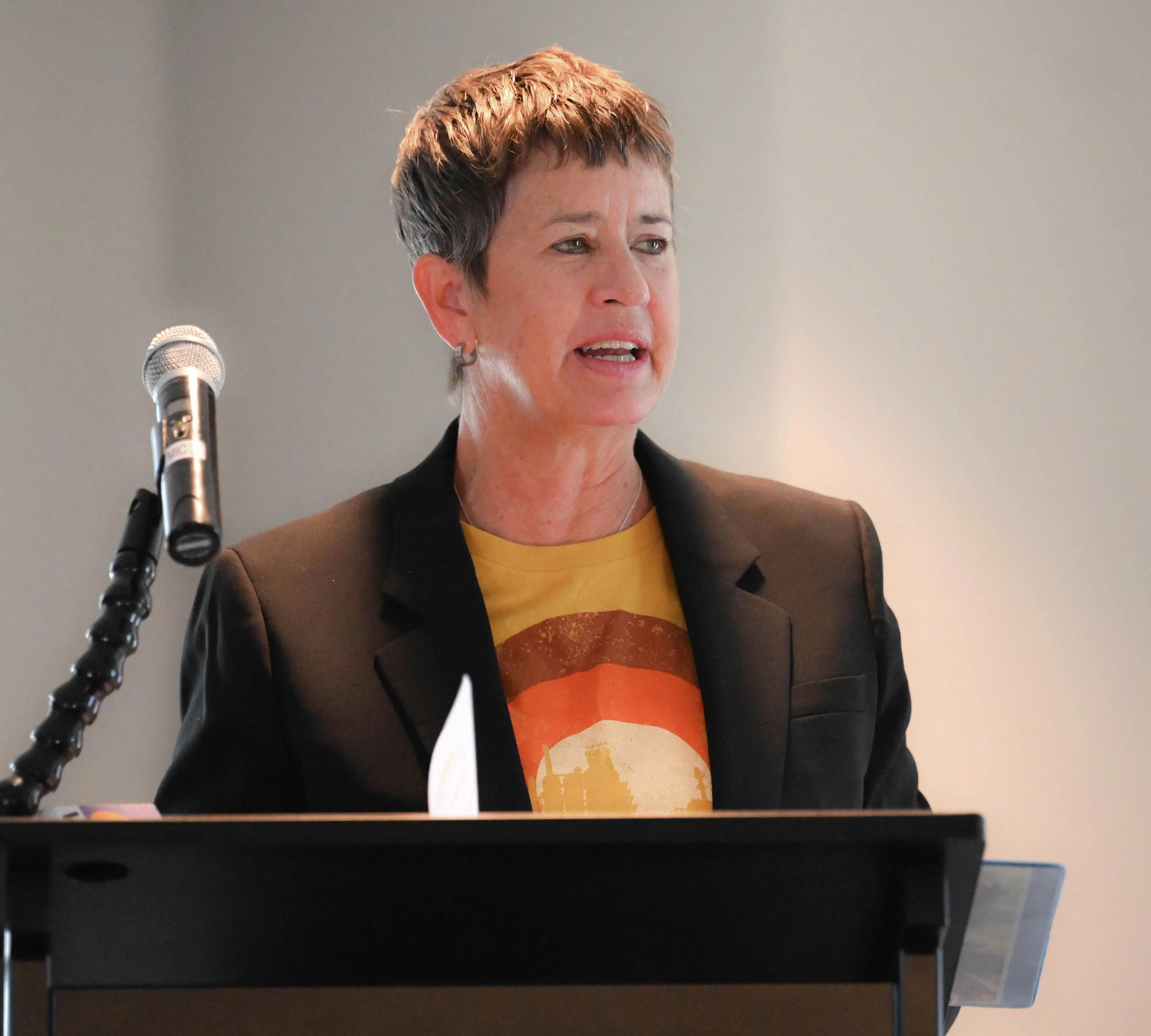 ArtsQuest President and CEO Kassie Hilgert speaks during a news...