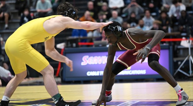 Whitehall's Wilmont Kai wrestles Bethlehem Catholic's Keanu Dillard in the 133 weight bout Saturday, Feb. 28, 2026, during the Northeast Regional Class 3A wrestling championship matches at Liberty High School in Bethlehem. (Amy Shortell / The Morning Call)