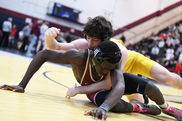 Whitehall's Wilmont Kai wrestles Bethlehem Catholic's Keanu Dillard in the 133 weight bout Saturday, Feb. 28, 2026, during the Northeast Regional Class 3A wrestling championship matches at Liberty High School in Bethlehem. (Amy Shortell / The Morning Call)