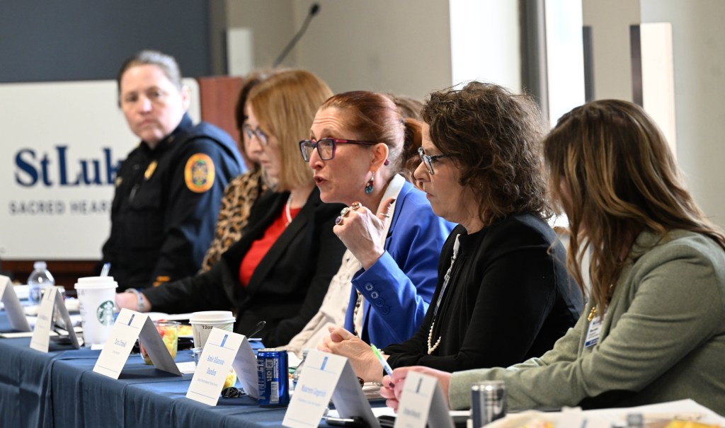 Mental health care keep people out of criminal justice system