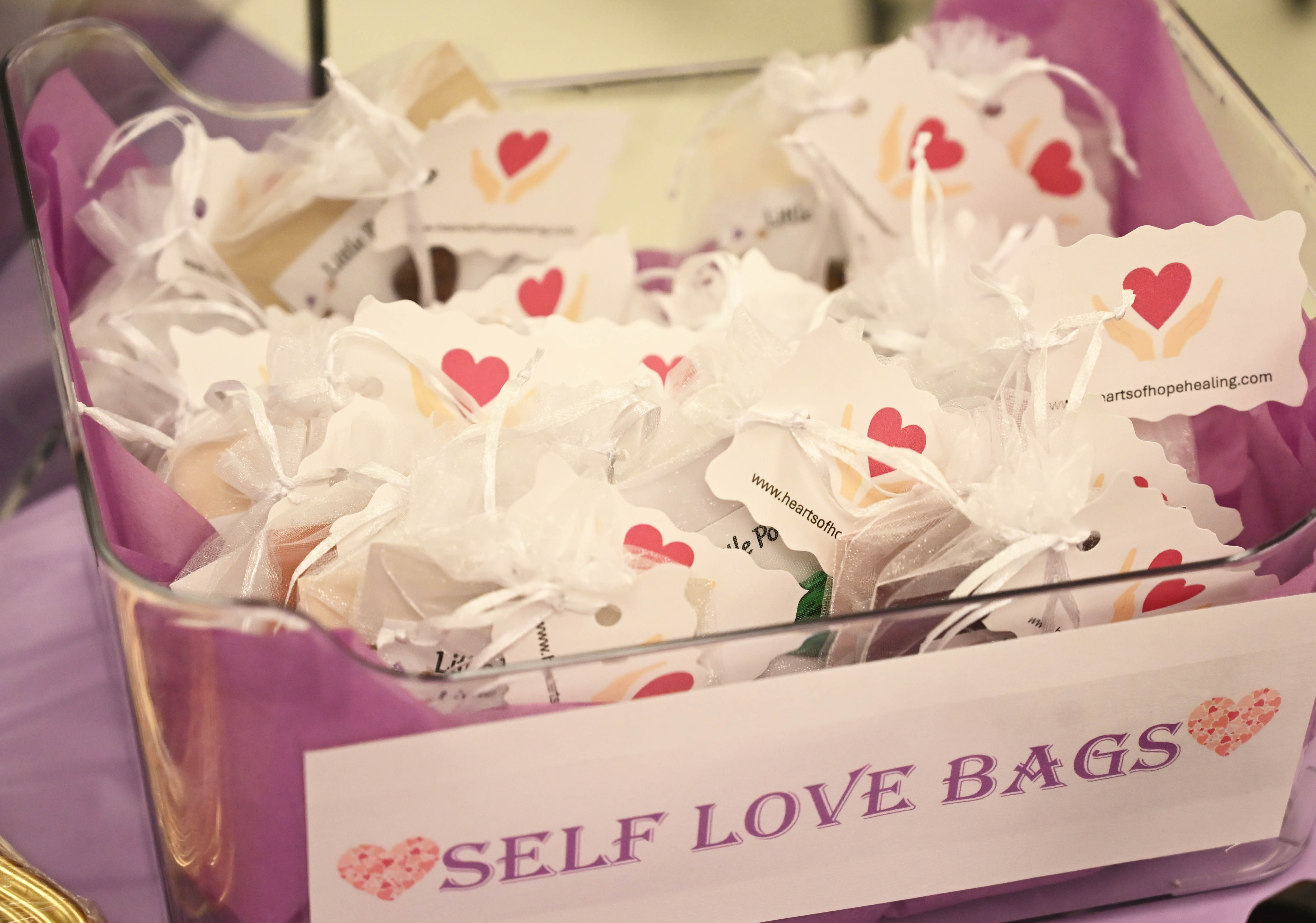 The Northampton County District Attorney hosts a panel discussion addressing...