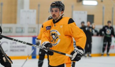 Avery Hayes Called Back Up to Pittsburgh