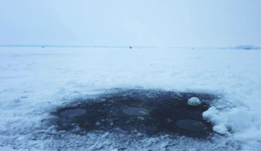 Lake Erie sees a historic freeze – The Campus