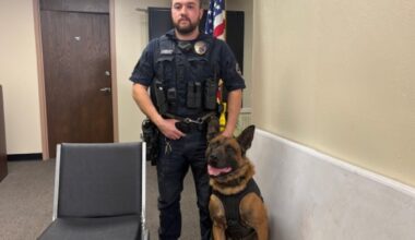 Pablo the K9 partner and protector needs help in New Philadelphia