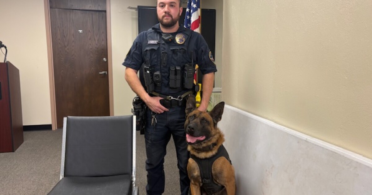 Pablo the K9 partner and protector needs help in New Philadelphia