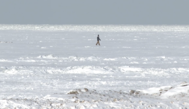 People urged to admire Lake Erie's frozen water from a distance, not underfoot