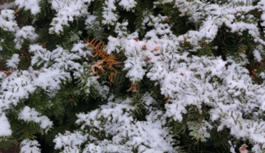 Forecasters: Fast-moving system could bring more snow to Lehigh Valley this weekend